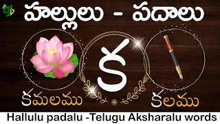 #HALLULU PADALU | How to Write Telugu hallulu With WORDS | learn telugu words | Telugu vanam