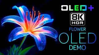 BEST OLED TEST - The Flowers In Bloom in 8K HDR | Dolby Vision™