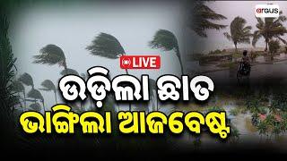 Live | ଉଡ଼ିଲା ଛାତ, ଭାଙ୍ଗିଲା ଆଜବେଷ୍ଟ | Rain | Weather Update | Heavy Rain | Odisha | Argus News