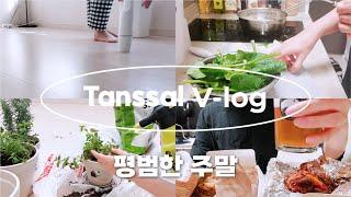 작은 원룸 안에서 보내는 주말 일상 | 자취브이로그