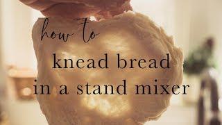 How to Knead Bread in a Stand Mixer