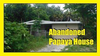 Abandoned Papaya House