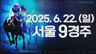 (서울) 2025.06.22 9경주