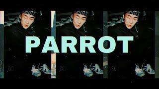 dsel - 패럿 (Parrot) [Official Music Video]