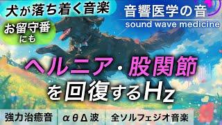 【犬が落ち着く音楽】ヘルニアと股関節の治癒音┃お留守番にも┃超回復のα波・θ波・デルタ波┃全ソルフェジオ周波数