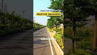 Prestige Orchads Plot for sale in Shamsabad #Hyderabad