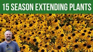 15 Season Extending Plants for Your Garden that Almost Everyone Can Grow