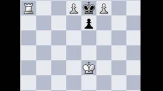 CHESS PUZZLES MATE IN ONE MOVE  #1