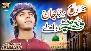 New Naat 2024 | Mera Dil Meri Jaan Madine Wale | Muhammad Ali Raza Qadri | Heera Gold