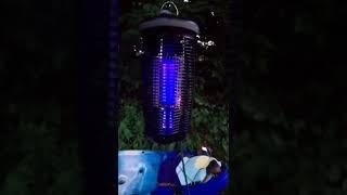 stinger bug zapper (best ever made)