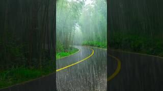  Heavy Rain on the Road in the Forest | #nature #rain #thunder #shorts