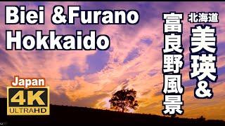 ［4K］富良野&美瑛•Beautiful nature Furano& Biei in Hokkaido  美しい丘の北海道 富良野観光  美瑛観光