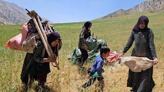 "Endless Migration: The Decision That Changed the Path"