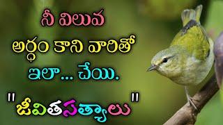 జీవిత సత్యాలు #165 |మంచి మాటలు|Inspirational quotes|Motivational quotes|సూక్తులు|Telugu quotes