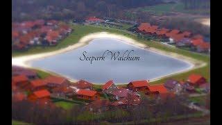 Seepark Walchum - Impressionen im Dezember