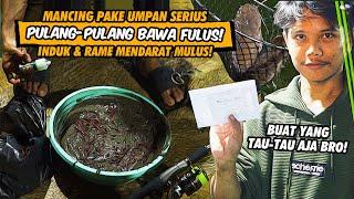 UMPAN RAHASIA UMUM BIKIN CENAYANG DI KEJAR ORANG! SATU AMPLOP BERHASIL DI BAWA PULANG!