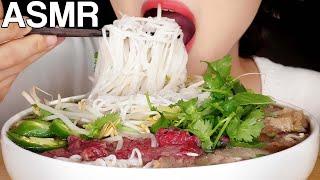 ASMR Pho Noodle Soup Big Bites Eating Sounds Mukbang 쌀국수 먹방