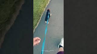 poop it n loop it walking poochies hands free ya herd