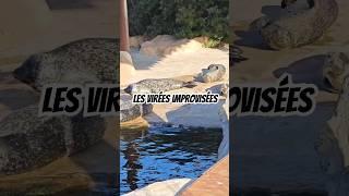 VALENCIA, épisode 1 : les eaux de l'Oceanographic