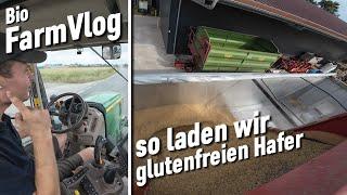 Drillen mit Horsch Pronto 6 as - Hafer laden im Akkord - Versuch "asuwerten" & mehr / Vlog 120