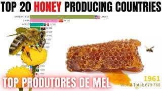 Top honey producing countries