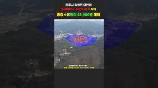 원주시 흥업면 대안리 연세대학교 미래캠퍼스 인근 종중임야 63,960평 매매 #원주부동산 #원주토지