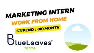 BlueLeaves Farm | Work from home Internship | Marketing Internship 2024 | Agrihunars