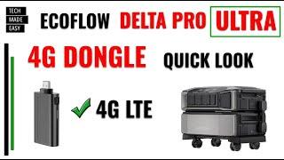 4G Dongle for EcoFlow Delta Pro Ultra 4G Dongle