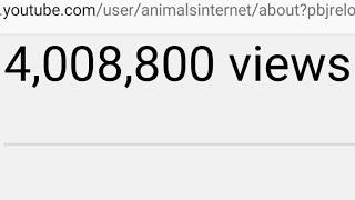 youtube.com/animalsinternet reaches 4.000.000 views