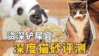 [CC SUB] How to choose cat litter? In-depth evaluation of senior shit shoveling officers.