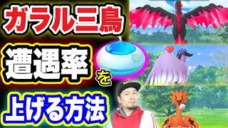 ガラル三鳥の出現率を上げる方法！？おさんぽおこうおじさんの教え【ポケモンGO】