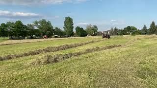 Belarus im Heu mit Deutz Rundballenpresse