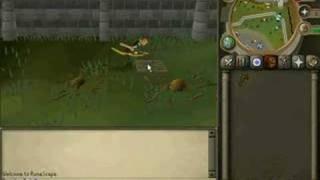 runescape body glitch