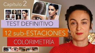 Capítulo 2| TEST PARA SABER TU COLORIMETRÍA | ANÁLISIS DE COLOR DE 12 SUBESTACIONE | JOANA PATIKAS