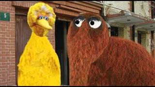 Sesame Street (unexpected)