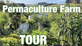 Huttons Valley Permaculture Tour