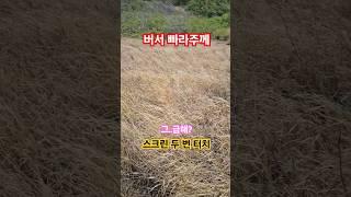버서 빠라주께