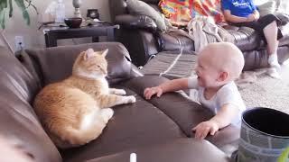 Baby And Cat Fun And Cute #5 - Funny Baby Videos