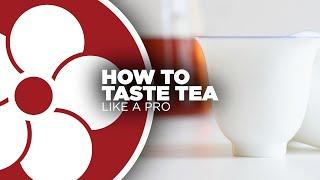 How to Taste Tea