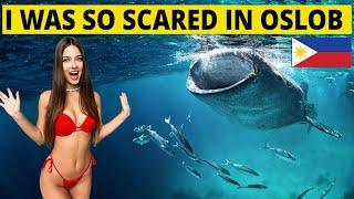 Oslob Cebu Whale SHARK ATTACK?   - Whale Watching Adventure