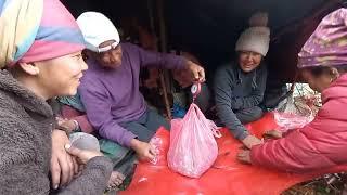 Wild Garlic / Ban Lasun Hunting In The Mountains, Manang || Raj Gurung