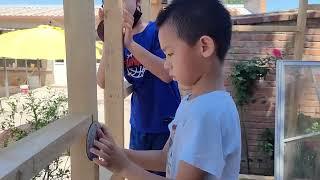 一起带娃 建树屋 立龙骨 上梁架  / 建樹屋 立龍骨 上樑架 /Building a tree house Building a keel on a beam