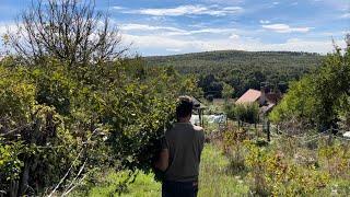 Hungarian village life in autumn