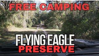 Camping for free at Flying Eagle Preserve Welcome to the wild Florida