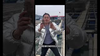 【阿向赶海】南方刺参之乡 蔚为壮观！ #海钓 #赶海 #阿向趕海 #海参