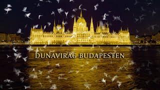 Dunavirág Budapesten