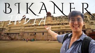 BIKANER, INDIA  - HIDDEN GEM OF RAJASTHAN?! Exploring Bikaner Fort, City + Karni Mata Rat Temple!