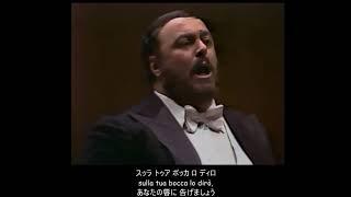 【イタリア語】誰も寝てはならぬ (Nessun dorma) (日本語字幕)