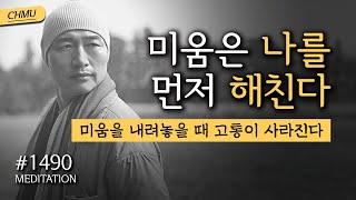 1490일 수행ㅣ진정한 이해 없이는 진정한 용서, 화해도 없다 ️미움을 내려놓을 때 고통이 사라진다 ️미움은 나를 먼저 해친다 ‍️이해하기 명상