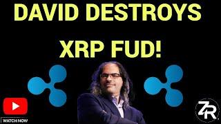 David DESTROYS XRP FUD!